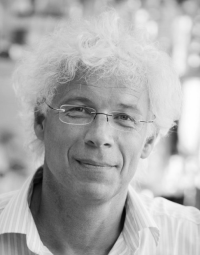 Picture of Willem de Vos